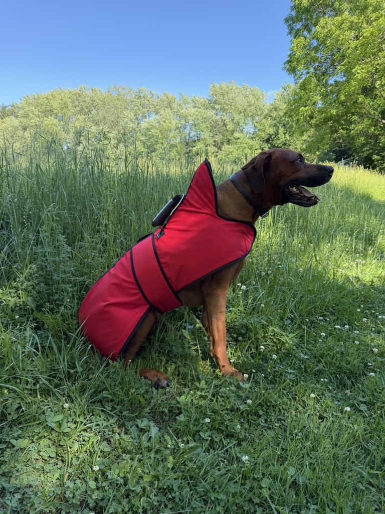 PEMF Dog Coat - additional view 3