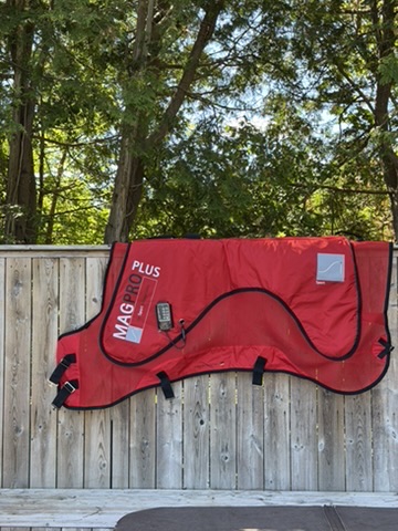 MagPro Plus - demo unit
